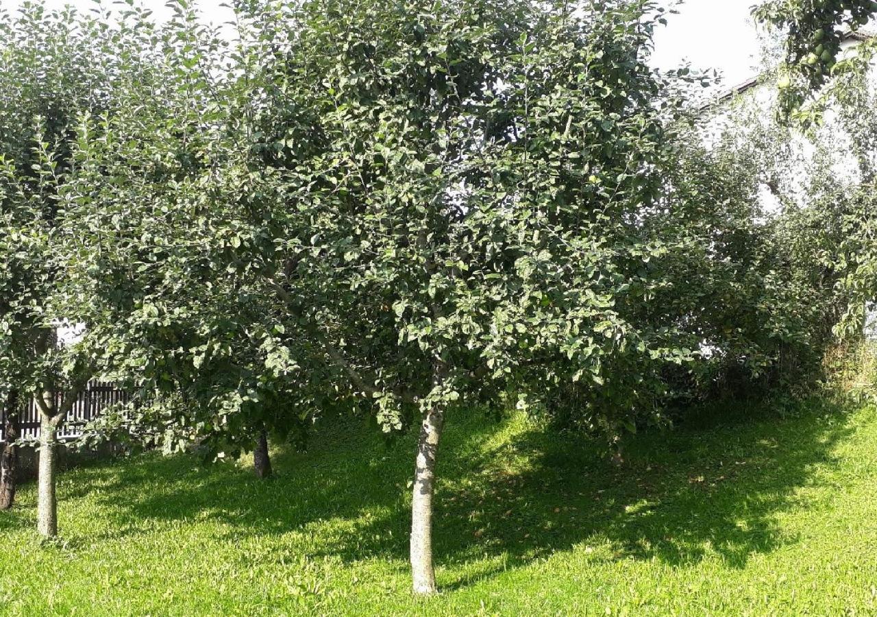 Landhof Sedlmair Lägenhet Gilching Exteriör bild